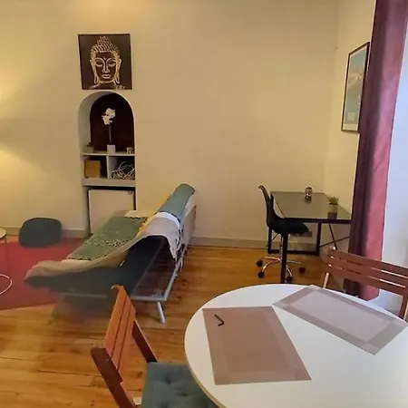 Le Gambetta T2 Cosy Hypercentre Wifi Fibre Avec Parking Pau