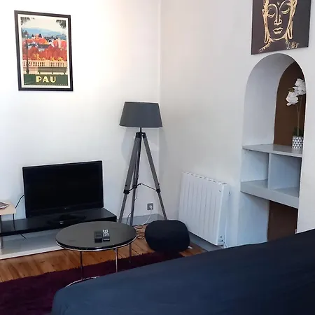Le Gambetta T2 Cosy Hypercentre Wifi Fibre Avec Parking Pau