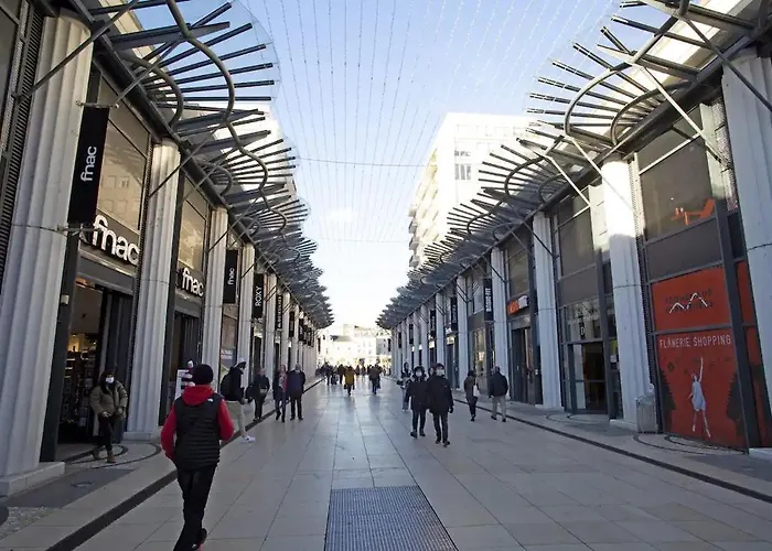 Apartment Le Gambetta T2 Cosy Hypercentre Wifi Fibre Avec Parking Pau