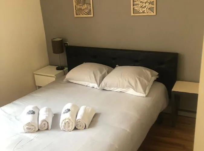 Appartement Le Gambetta T2 Cosy Hypercentre Wifi Fibre Avec Parking