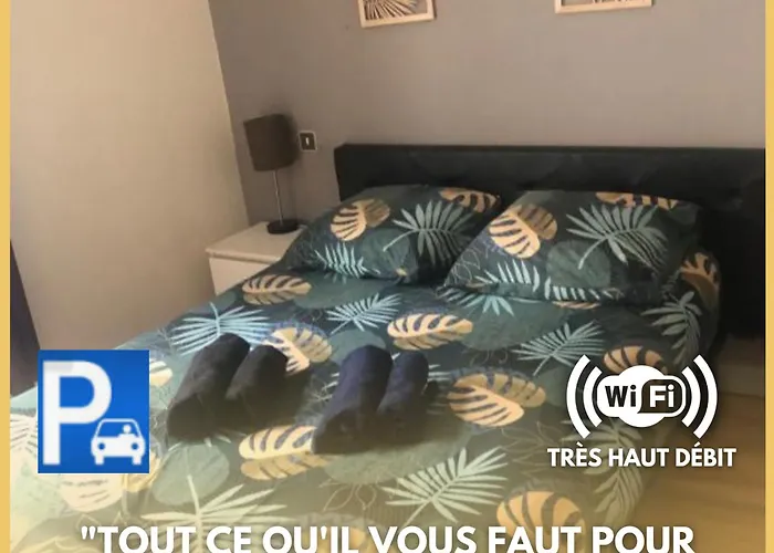 Apartment Le Gambetta T2 Cosy Hypercentre Wifi Fibre Avec Parking *