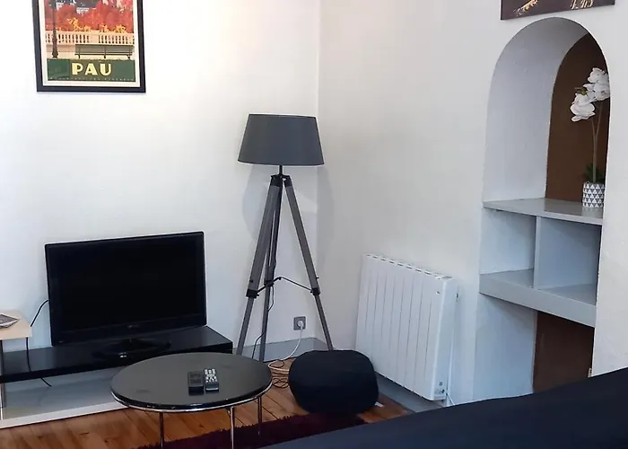 Le Gambetta T2 Cosy Hypercentre Wifi Fibre Avec Parking Pau